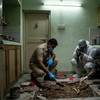 Article image for: Drishyam-style crimes that blur the line between thriller and reality