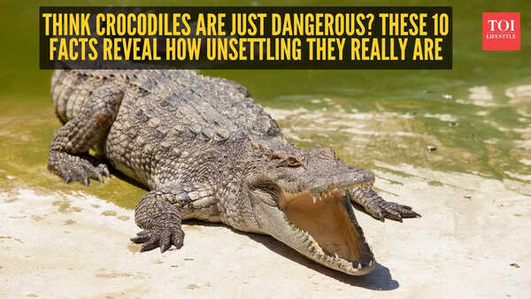 Think crocodiles are just dangerous? These 10 facts reveal how unsettling they really are