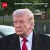 Article image for: Is U.S. Prepared For Hantavirus Outbreak? Trump <i class="tbold">shares</i> Shocking Revelation
