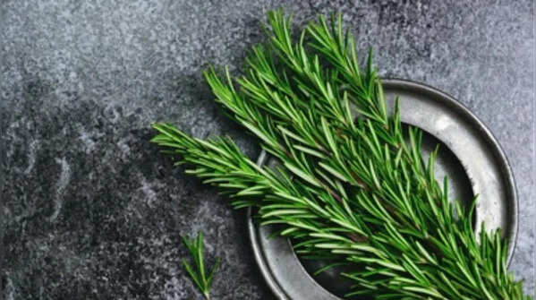 Rosemary