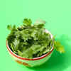 Coriander