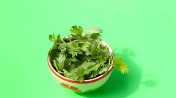 Coriander