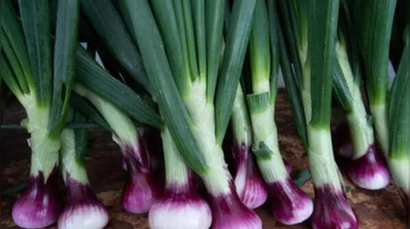 Lemongrass
