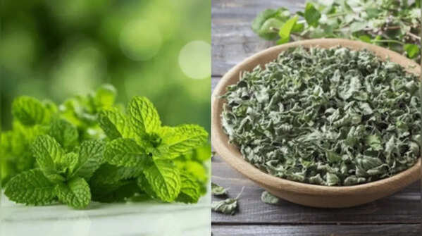 From mint to oregano: Herbs you can easily regrow from kitchen scraps