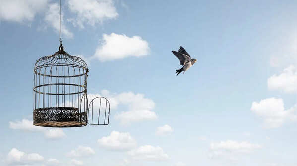 Love that gives freedom