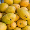 Article image for: Must-try mango varieties