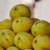 Chausa