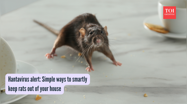 Hantavirus alert Simple ways to smartly keep rats out of your house