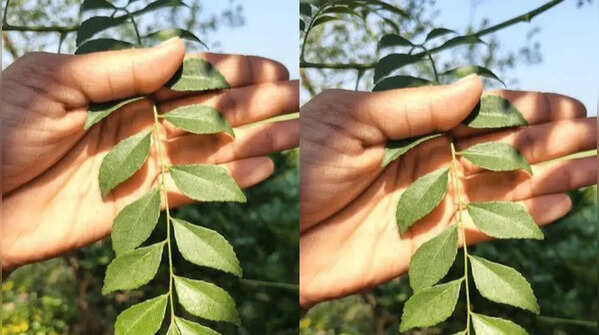 Lack of sunlight exposure