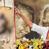 Article image for: Tamil Nadu Shocker: TVK Worker Attempts Self-Immolation As Vijay’s CM Ambition Faces Delay