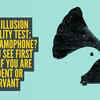 Article image for: Optical illusion personality test: Bird or gramophone? What you see first reveals if you are confident or observant
