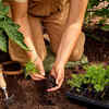 Article image for: See your <i class="tbold">garden</i> before you plant