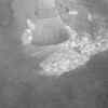 Dry sweeping up rat droppings