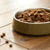 Article image for: Leaving pet <i class="tbold">food</i> out for too many hours