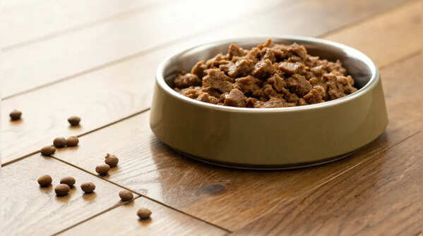Leaving pet food out for too many hours