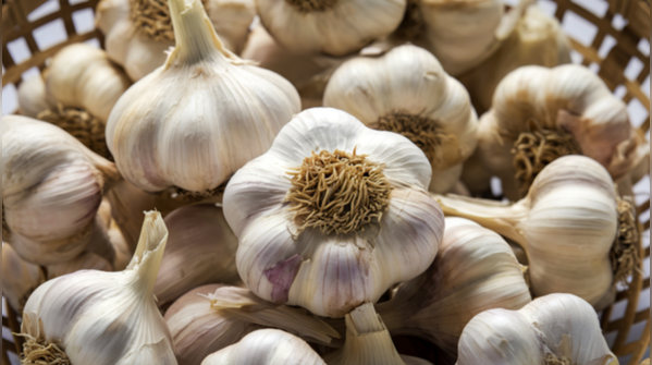 5. Garlic