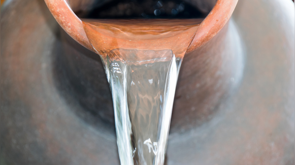 Refresh the water often