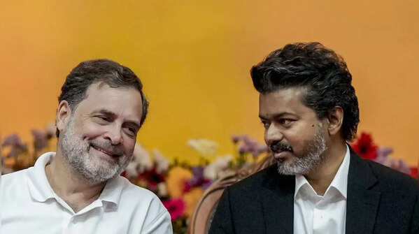 Rahul Gandhi congratulates Vijay