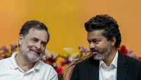 Article image for: <i class="tbold">rahul gandhi</i> congratulates Vijay