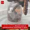 Article image for: Sacred Bhasma Aarti Performed At Mahakaleshwar Temple