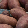 Article image for: The nutrition battle: Similar roots, different strengths
