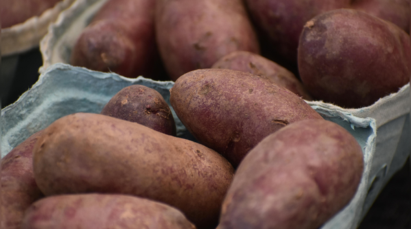 The nutrition battle: Similar roots, different strengths