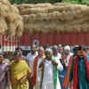 Article image for: TTD receives 1600 tons of dry fodder as a donation for its Goshalas