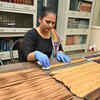 Article image for: Rescuing timeless wisdom through manuscript preservation in AP