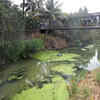 Article image for: Encroachments, dumping choke revival of Thettiyar