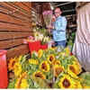 Article image for: Mother’s Day gifts shift from bouquets to easing daily stressors