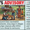 Article image for: Maha orders dog vaccination drive around tiger reserves