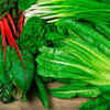 Article image for: Leafy greens