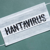 Article image for: Hantavirus symptoms detected in two Americans; one shows only mild illness