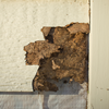 5 effective ways to help remove termites and save your wooden interiors ...