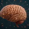 It <i class="tbold">may</i> support the brain, too
