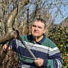 Article image for: Dangerously unstable branches require immediate <i class="tbold">action</i>s