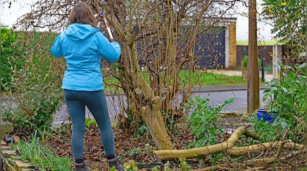 You can trim overhanging branches in general