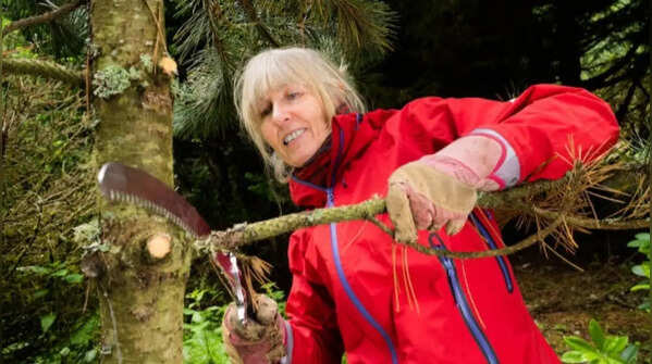 Can you cut a neighbour’s tree branches hanging into your garden? What UK law says