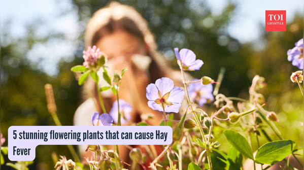 5 stunning flowering plants that can cause Hay Fever