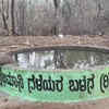 Article image for: Bidar youth turn lifeline for thirsty wildlife