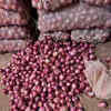 Article image for: Paithan farmer sells onions for Re 1/kg, handed bill of -Re 1 after deductions