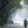 Article image for: More trees doesn’t always mean less heat: IIT-Gn study