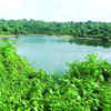 Article image for: Health dept cautions against swimming in and drinking stagnant water to beat extreme heat