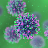 What Hantavirus actually does