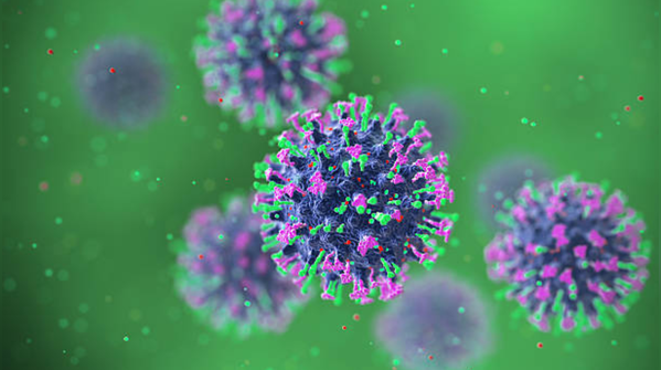 What Hantavirus actually does