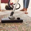 Article image for: Do you use vacuum cleaners to clean up rodent faeces? Wait and read this