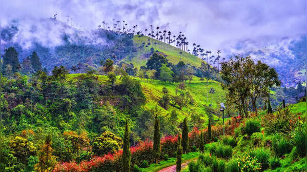 Colombia – 251 species