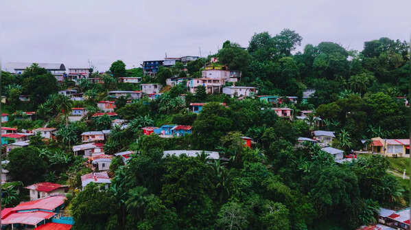 Panama – 264 species