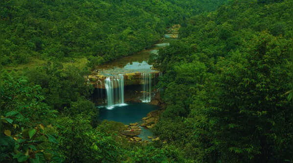 India — 338 species
