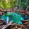Article image for: <i class="tbold">thailand</i> — 379 species
